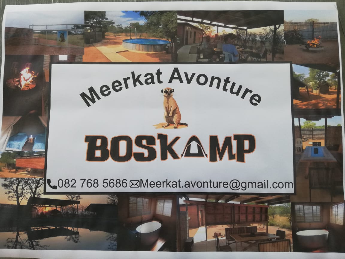 Meerkat Avonture-huntandgun.co.za-hunt and gun